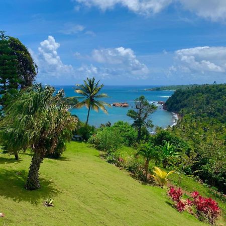 Sea Cliff Eco-Cottages & Gin Distillery Калибишие Экстерьер фото