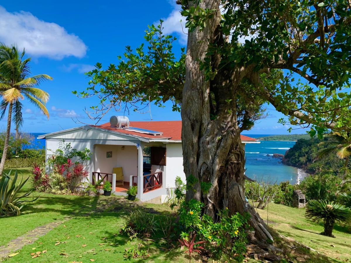 Sea Cliff Eco-Cottages & Gin Distillery Калибишие Экстерьер фото